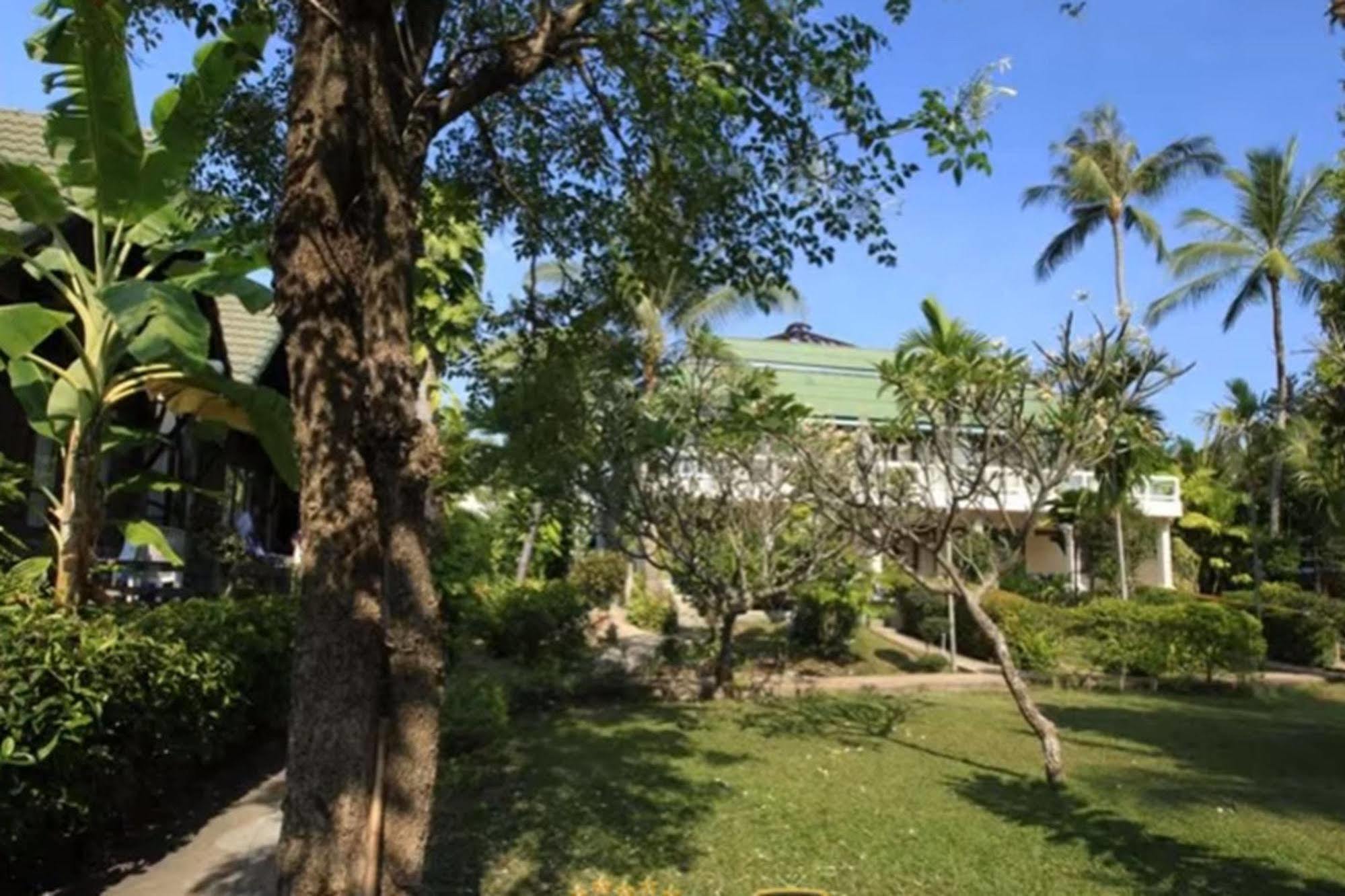 Palm Island 3*